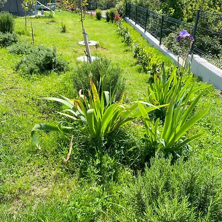 Casa vacanze - Art Presika - Old Town Labin (Istria)